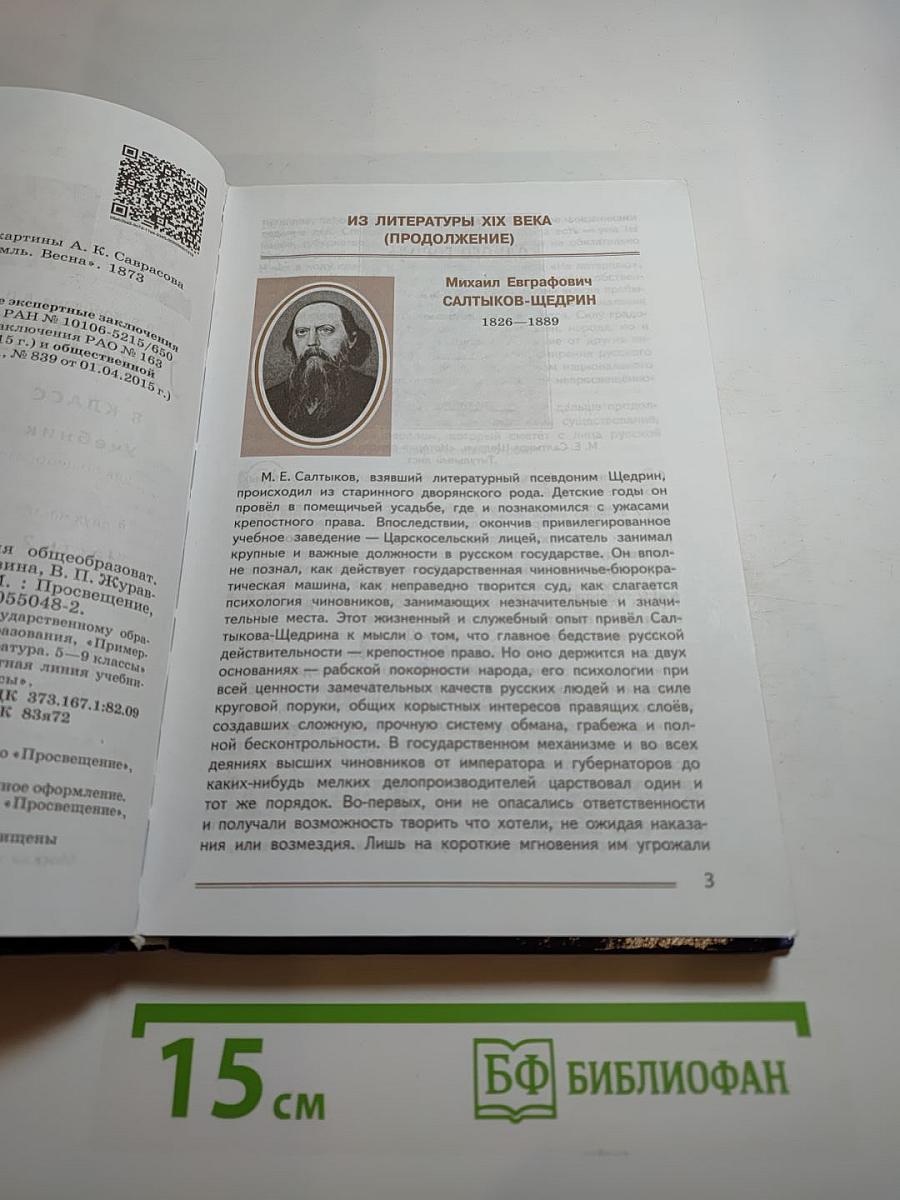 Литература. 8 класс. Часть 2