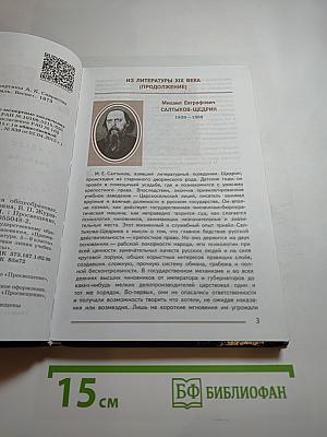 Литература. 8 класс. Часть 2
