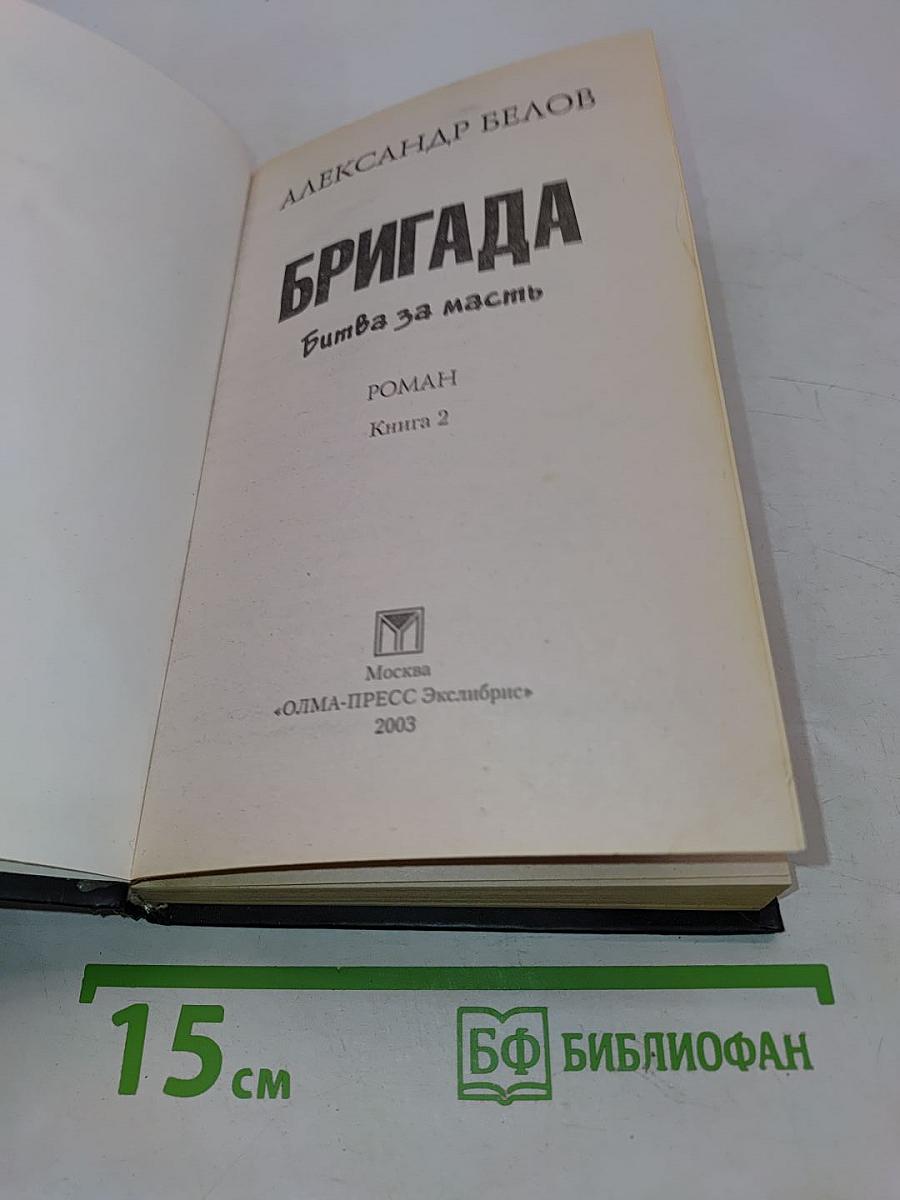 Бригада. Битва за масть. Книга 2