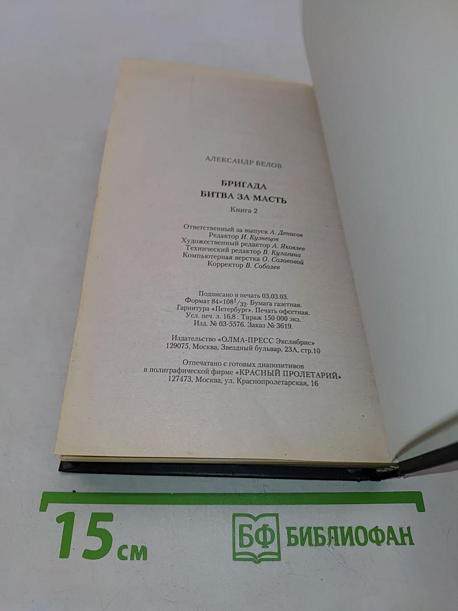Бригада. Битва за масть. Книга 2