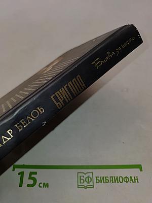 Бригада. Битва за масть. Книга 2