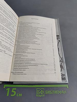 Ижевск. Экономико-географический и социальный очерк