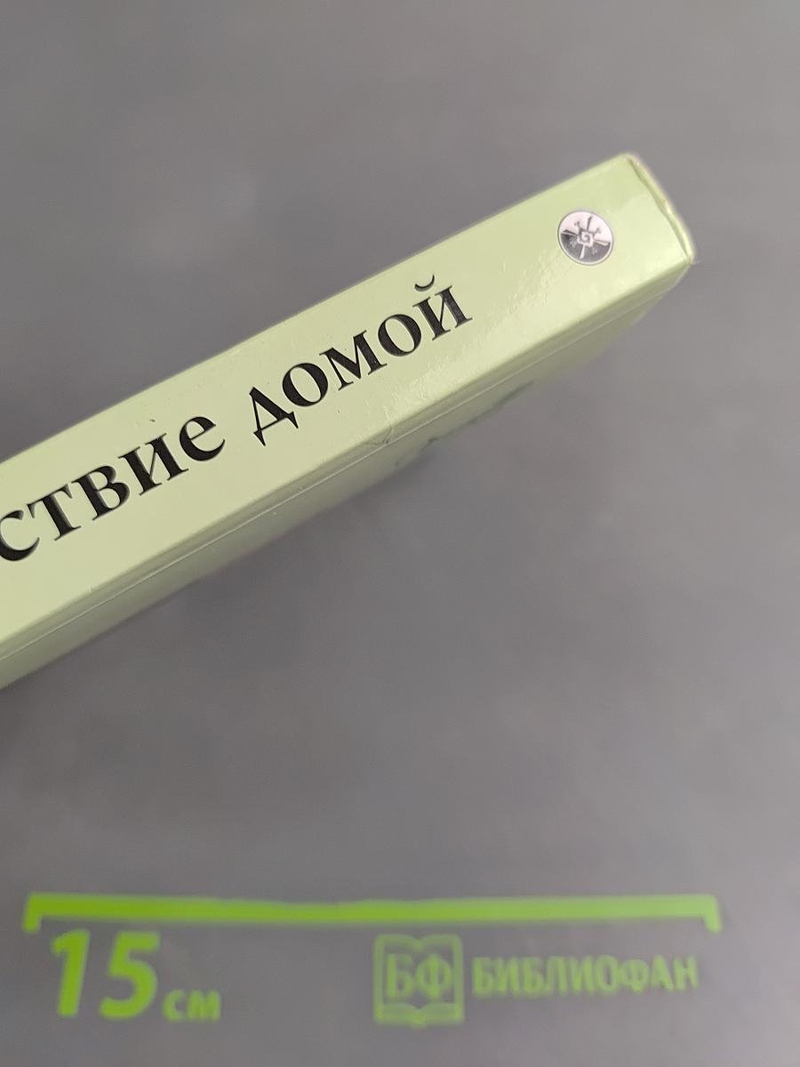 Путешествие домой