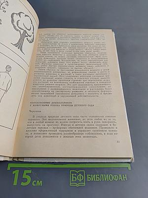 Умственное воспитание детей дошкольного возраста