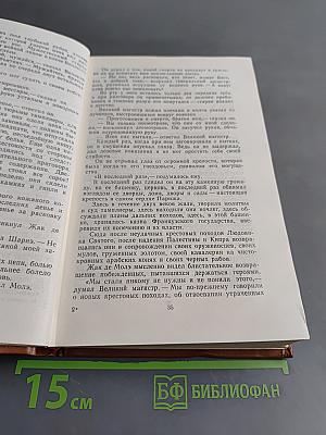 Железный король. Узница Шато-Гайара