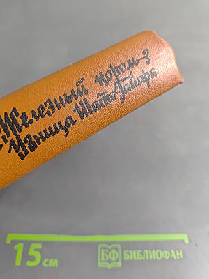 Железный король. Узница Шато-Гайара