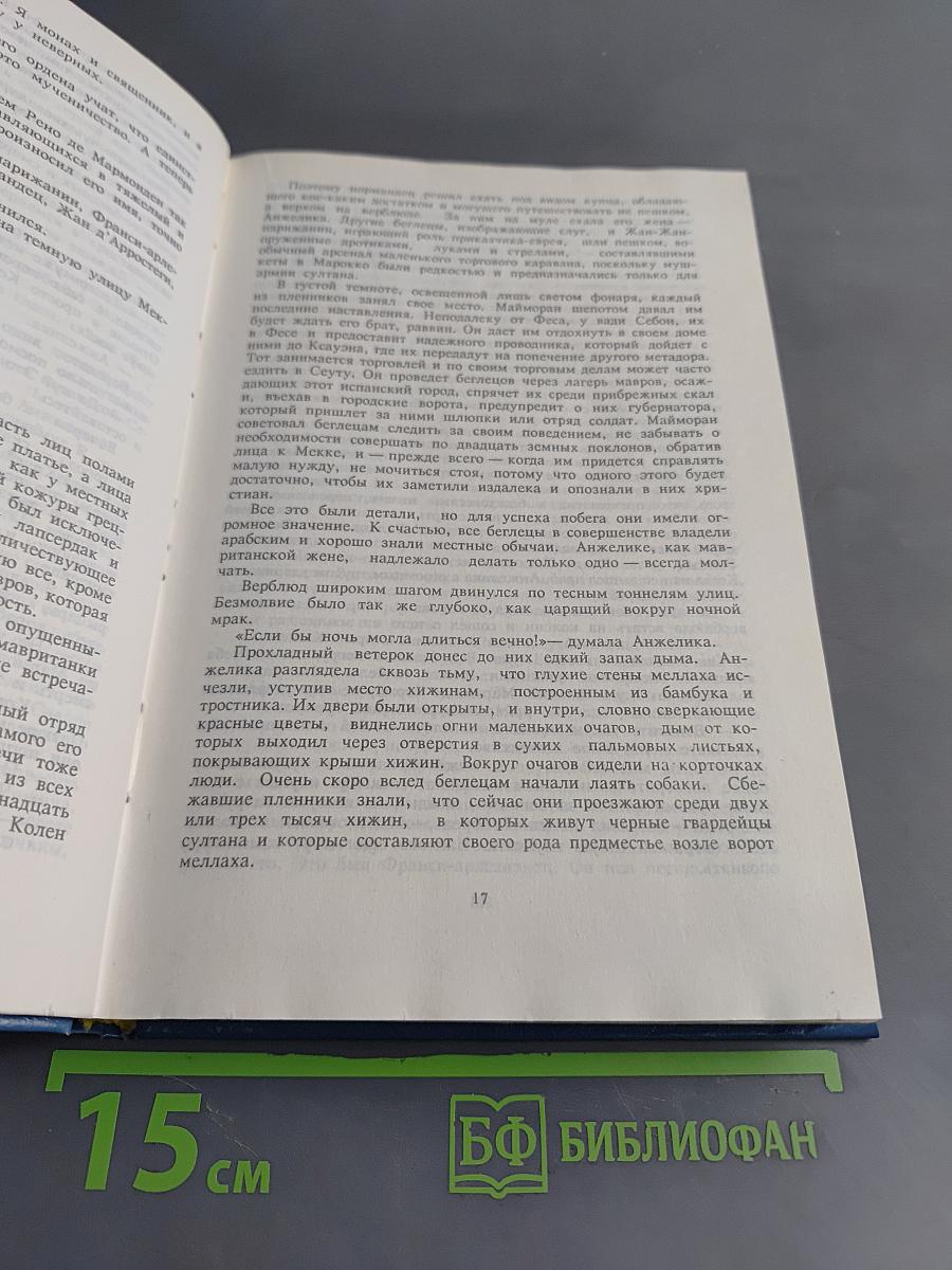 Анжелика. Бунтующая Анжелика. Книга 4
