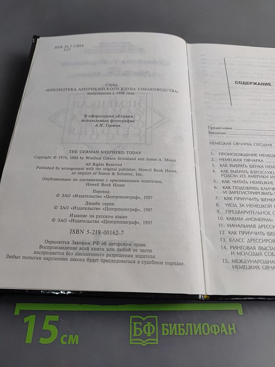 Немецкая овчарка сегодня