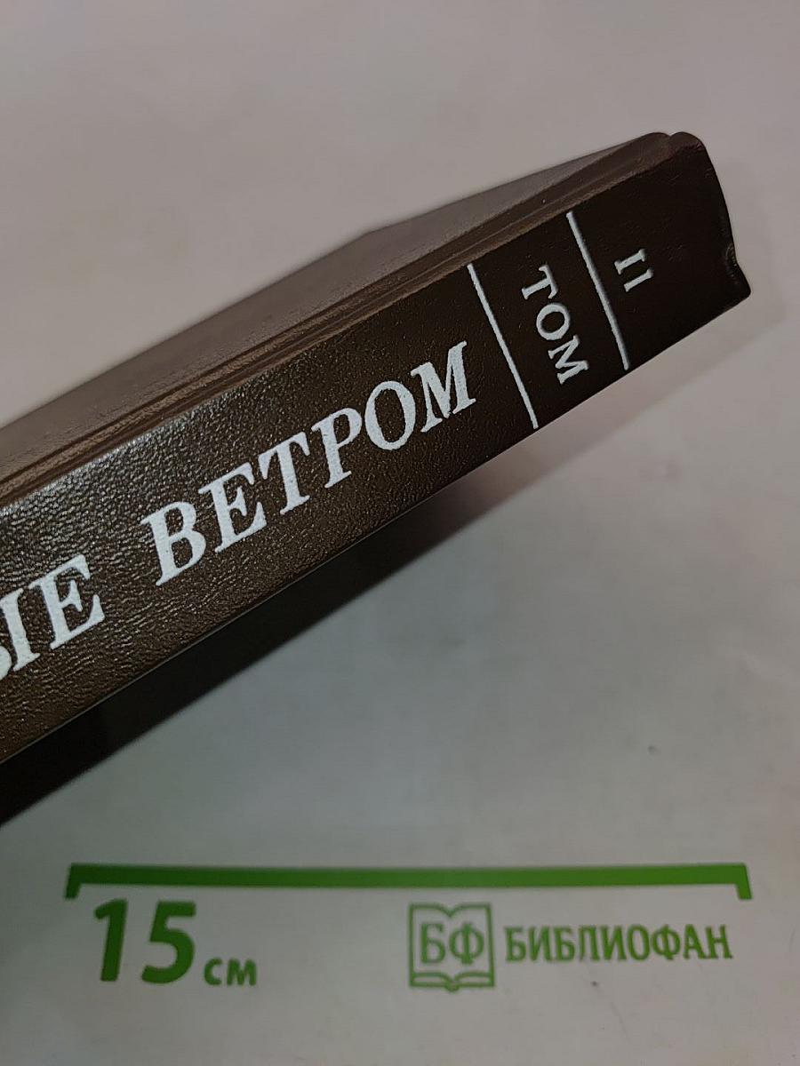 Унесенные ветром. Том II