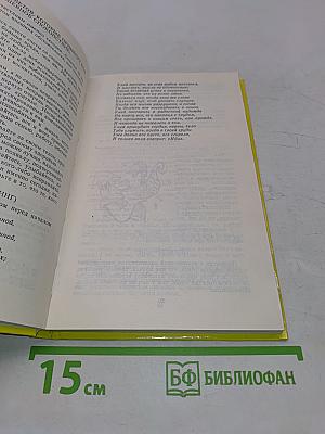 Домашний лечебник. Полное и полезное врачебное наставление по лечению болезней в домашних условиях