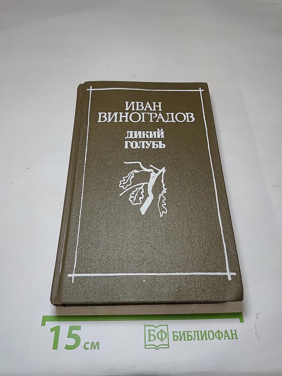 Дикий голубь