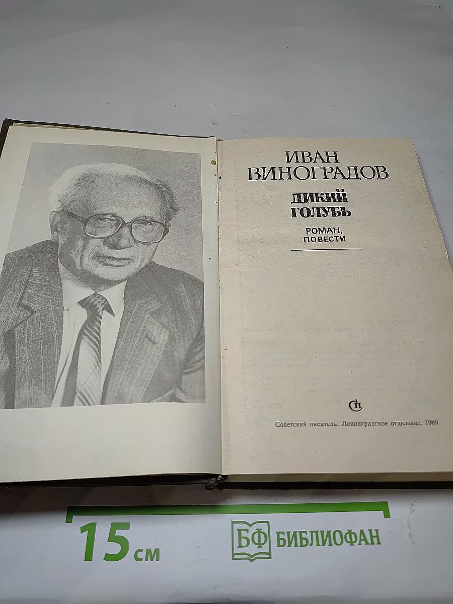 Дикий голубь