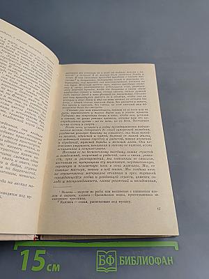 Пастыри ночи