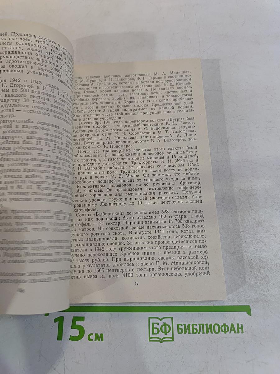В осажденном Ленинграде