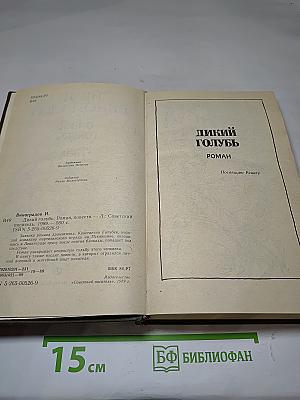 Дикий голубь