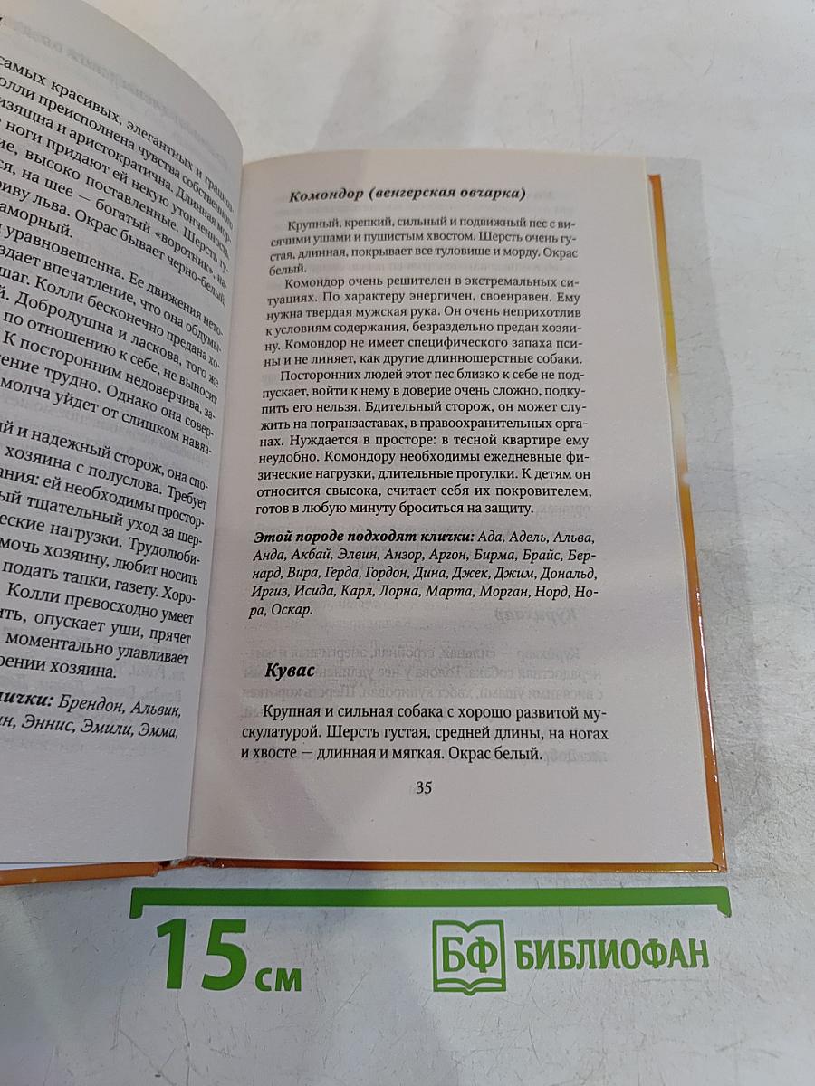Как назвать вашу собаку