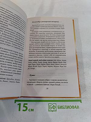 Как назвать вашу собаку