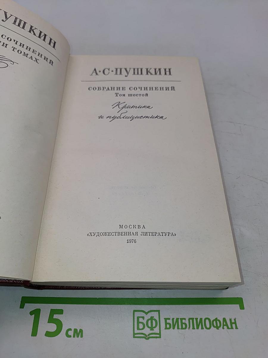 Собрание сочинений в 10 томах. Том шестой. Критика и публицистика