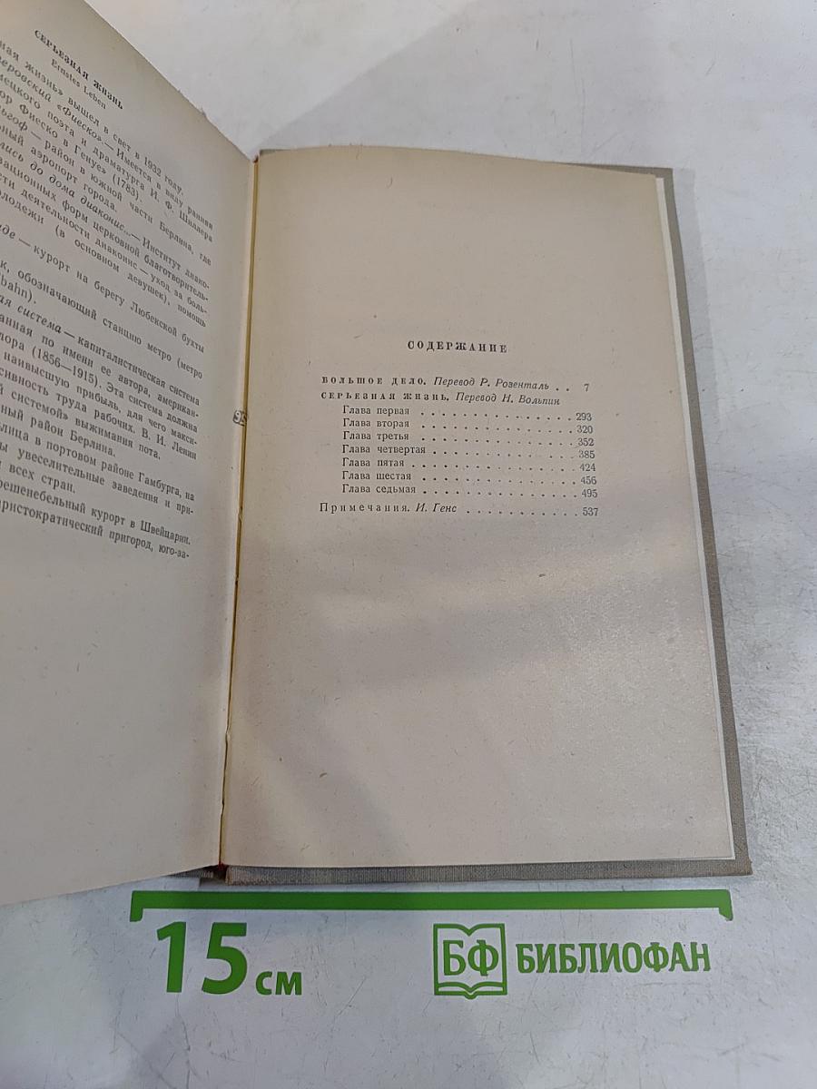Собрание сочинений. Том пятый. Большое дело. Серьезная жизнь