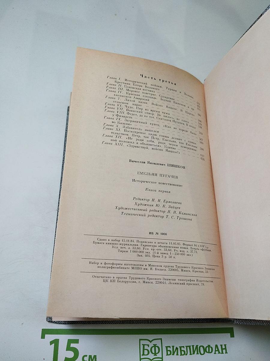 Емельян Пугачев. Историческое повествование. Книга первая.
