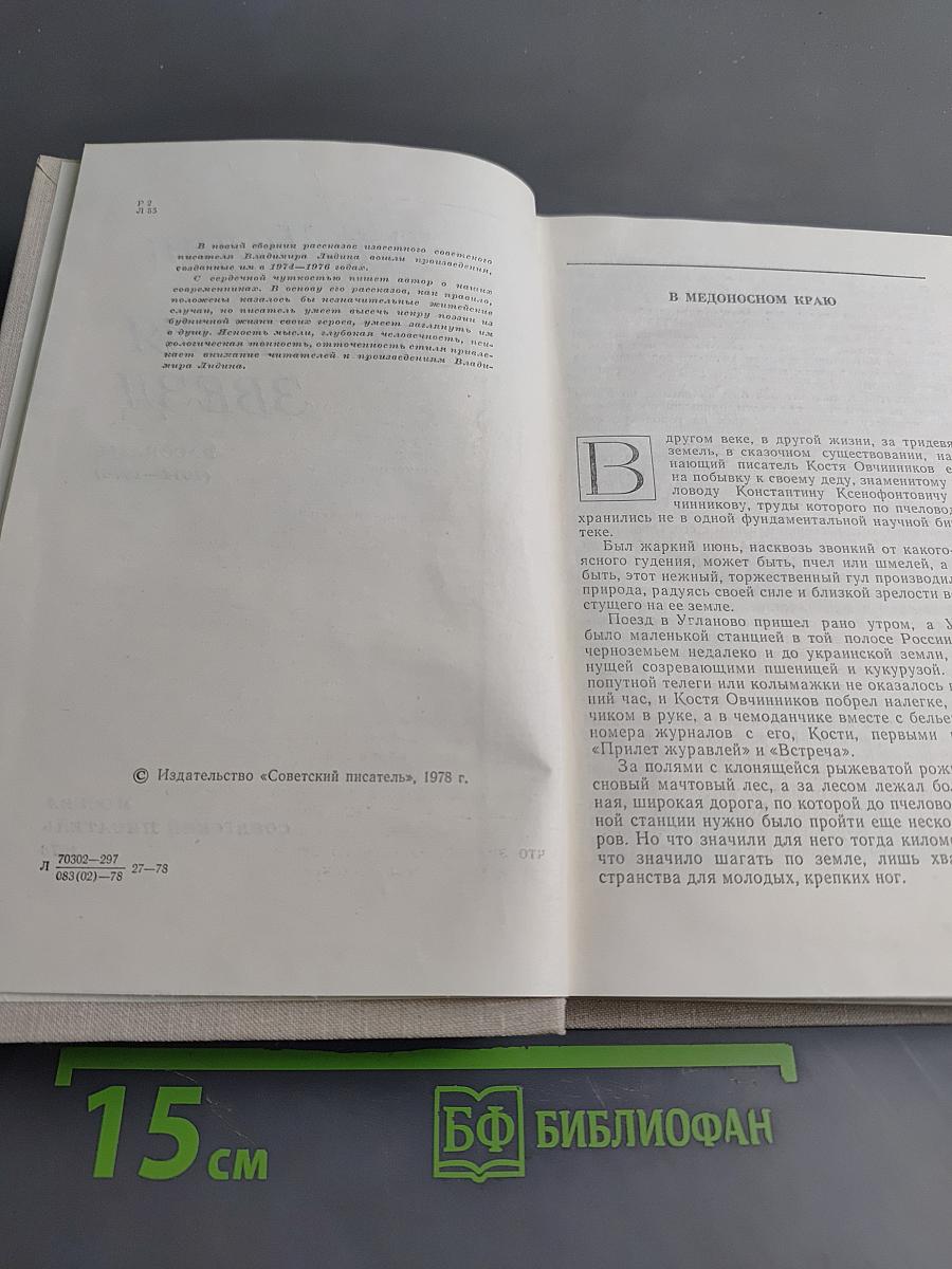 Отражения звезд