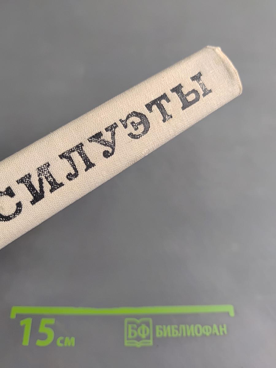 Силуэты