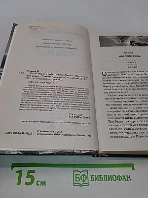 По ту сторону неба. Океаны Айдена