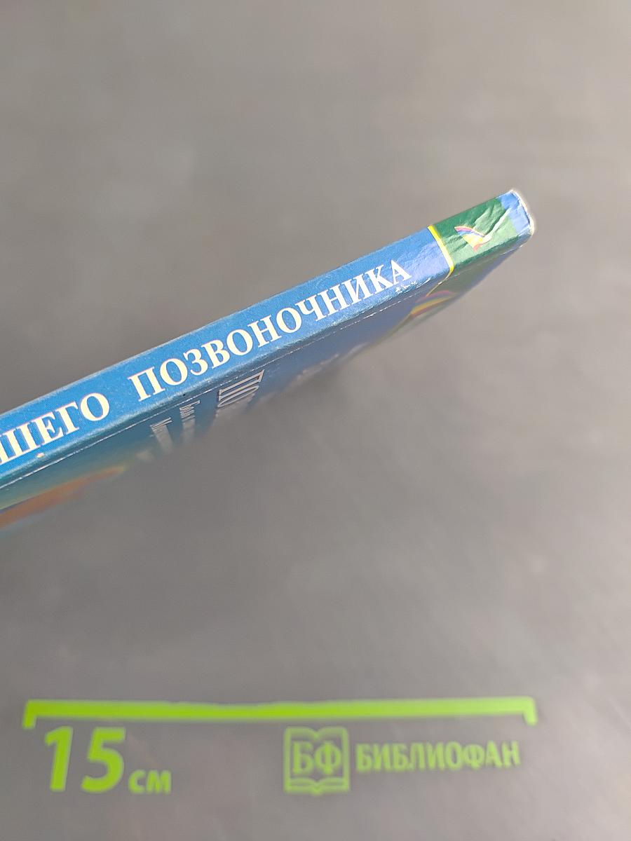 Здоровье вашего позвоночника