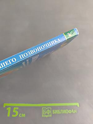 Здоровье вашего позвоночника