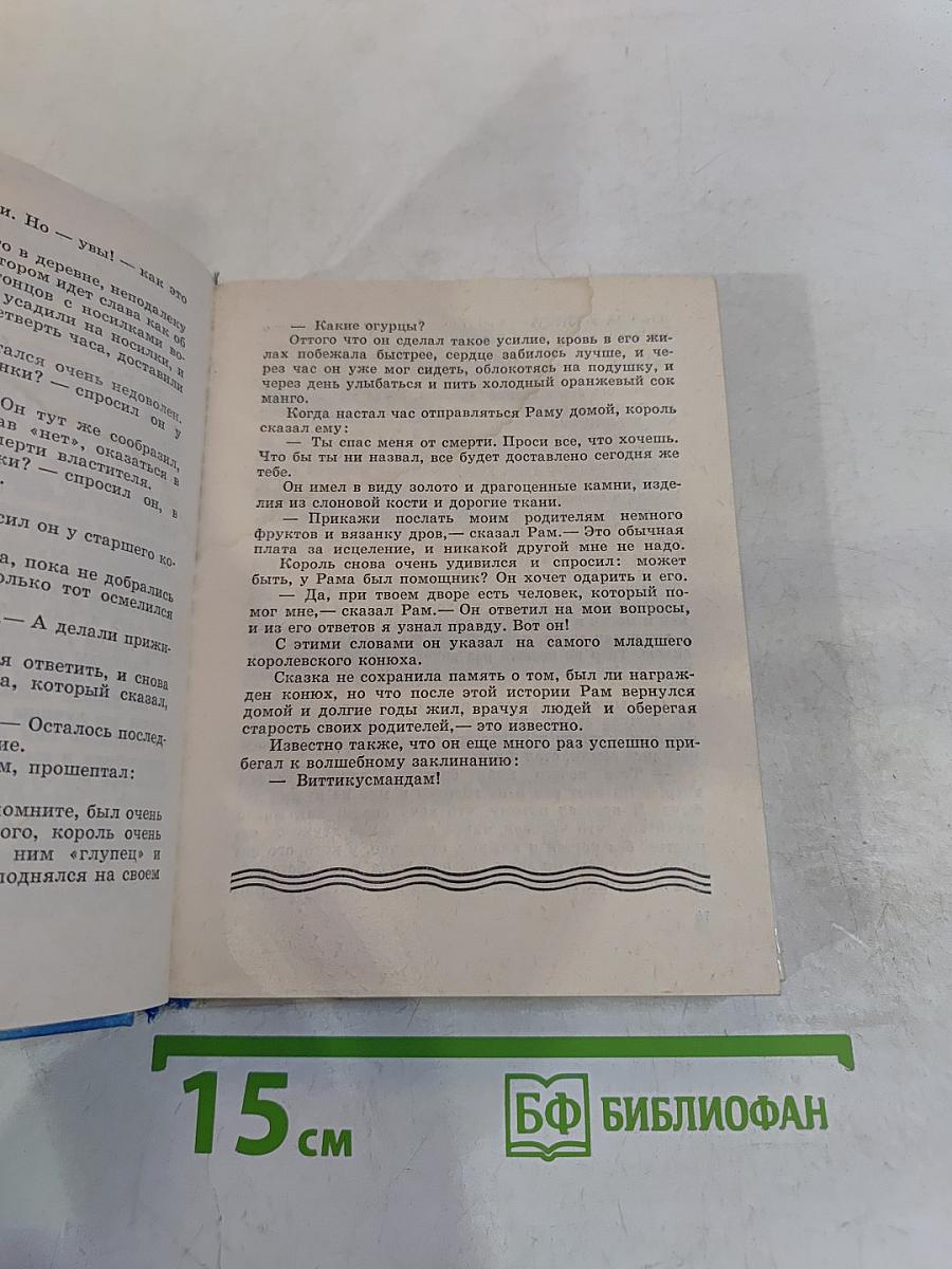 Почему у кита большой рот