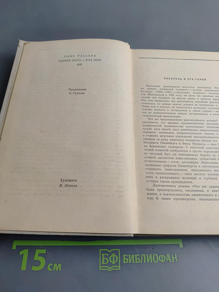 Что же дальше, маленький человек?