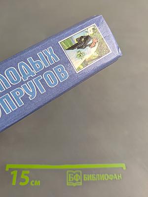 Современная энциклопедия молодых супругов
