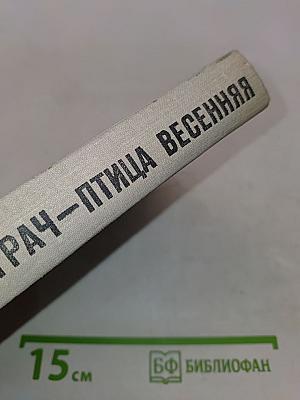 Грач — птица весенняя