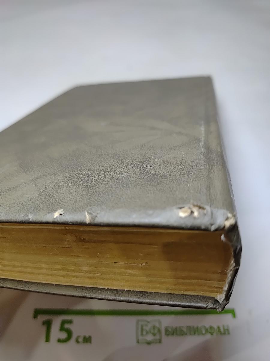 Живые и мертвые. Книга третья. Последнее лето