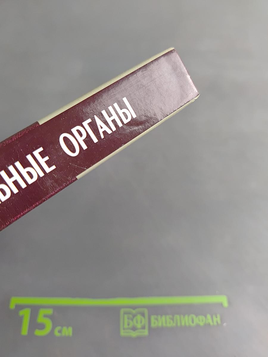 Правоохранительные органы