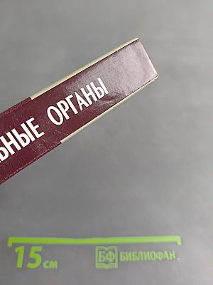 Правоохранительные органы