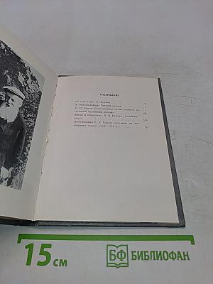 Глазами дочери