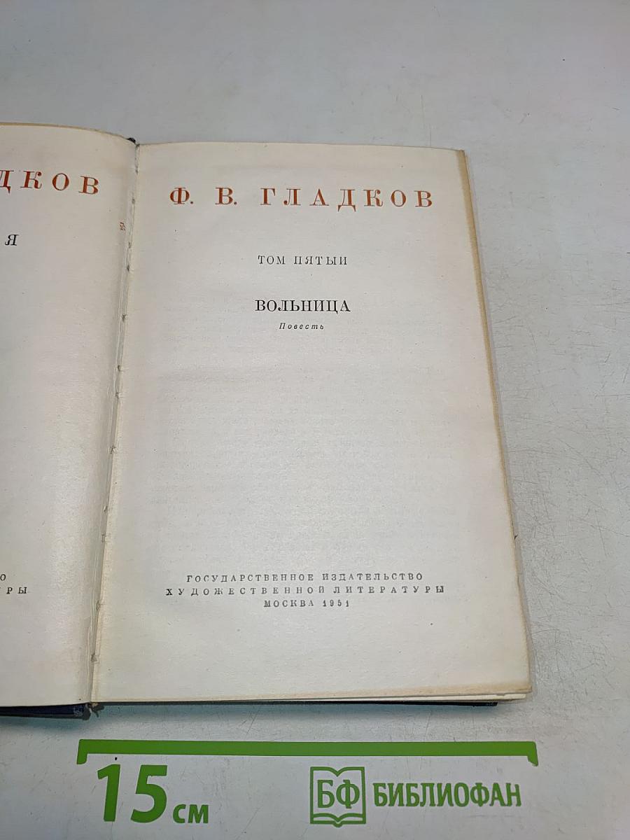 Вольница. Повесть