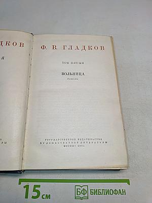 Вольница. Повесть