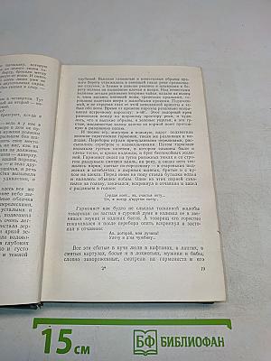 Вольница. Повесть