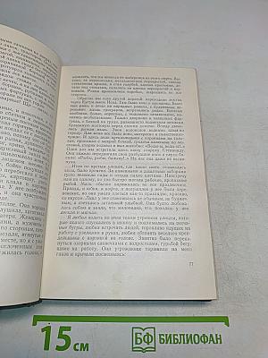 Вольница. Повесть