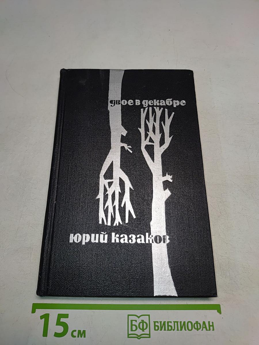 Двое в декабре
