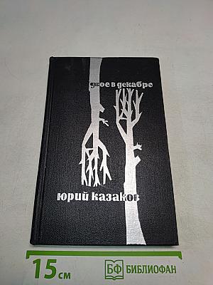 Двое в декабре