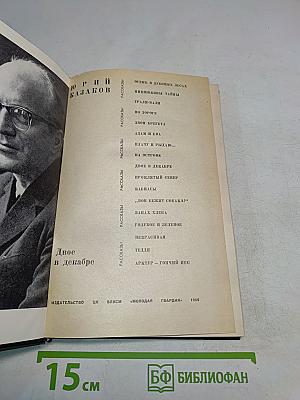 Двое в декабре