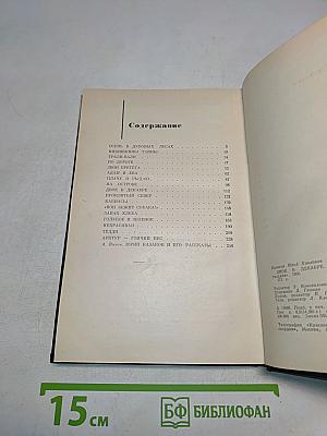 Двое в декабре