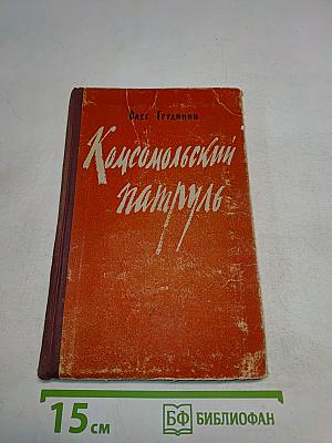 Комсомольский патруль. Записки начальника штаба