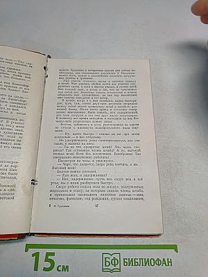 Комсомольский патруль. Записки начальника штаба
