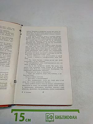 Комсомольский патруль. Записки начальника штаба