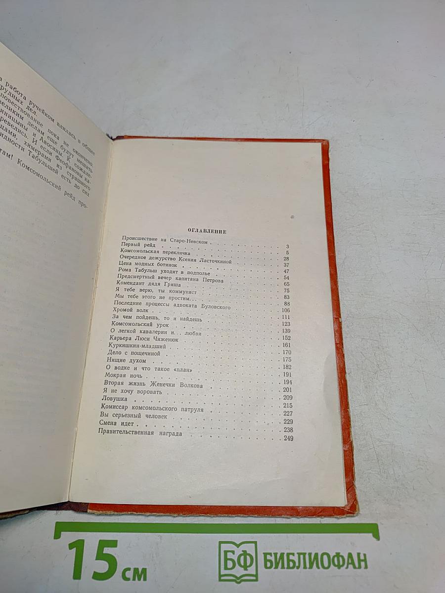 Комсомольский патруль. Записки начальника штаба