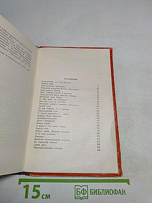 Комсомольский патруль. Записки начальника штаба